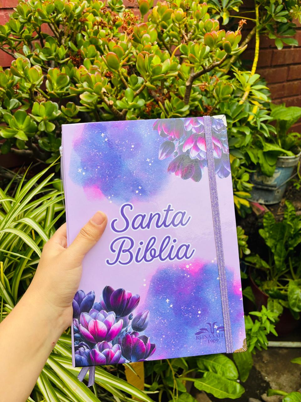 Biblia restaurada
