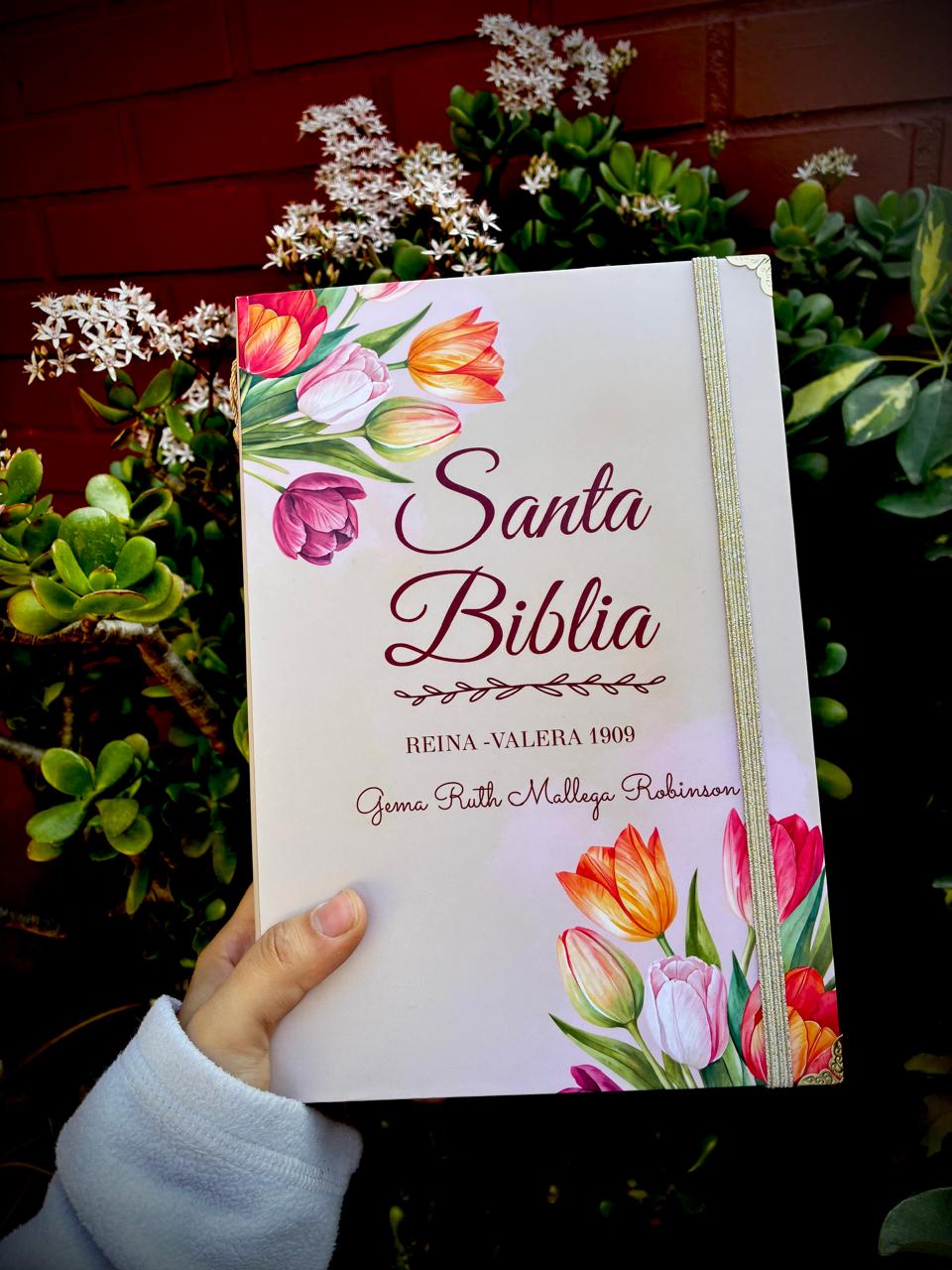 Biblia restaurada